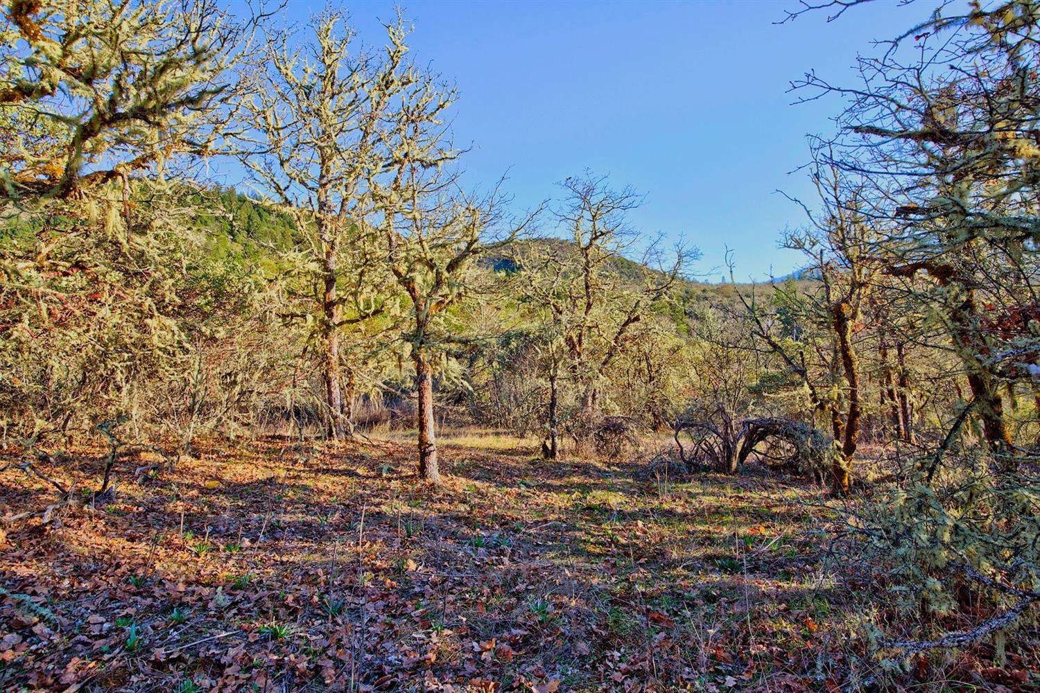 Cloverlawn Heights Subdivision - Land