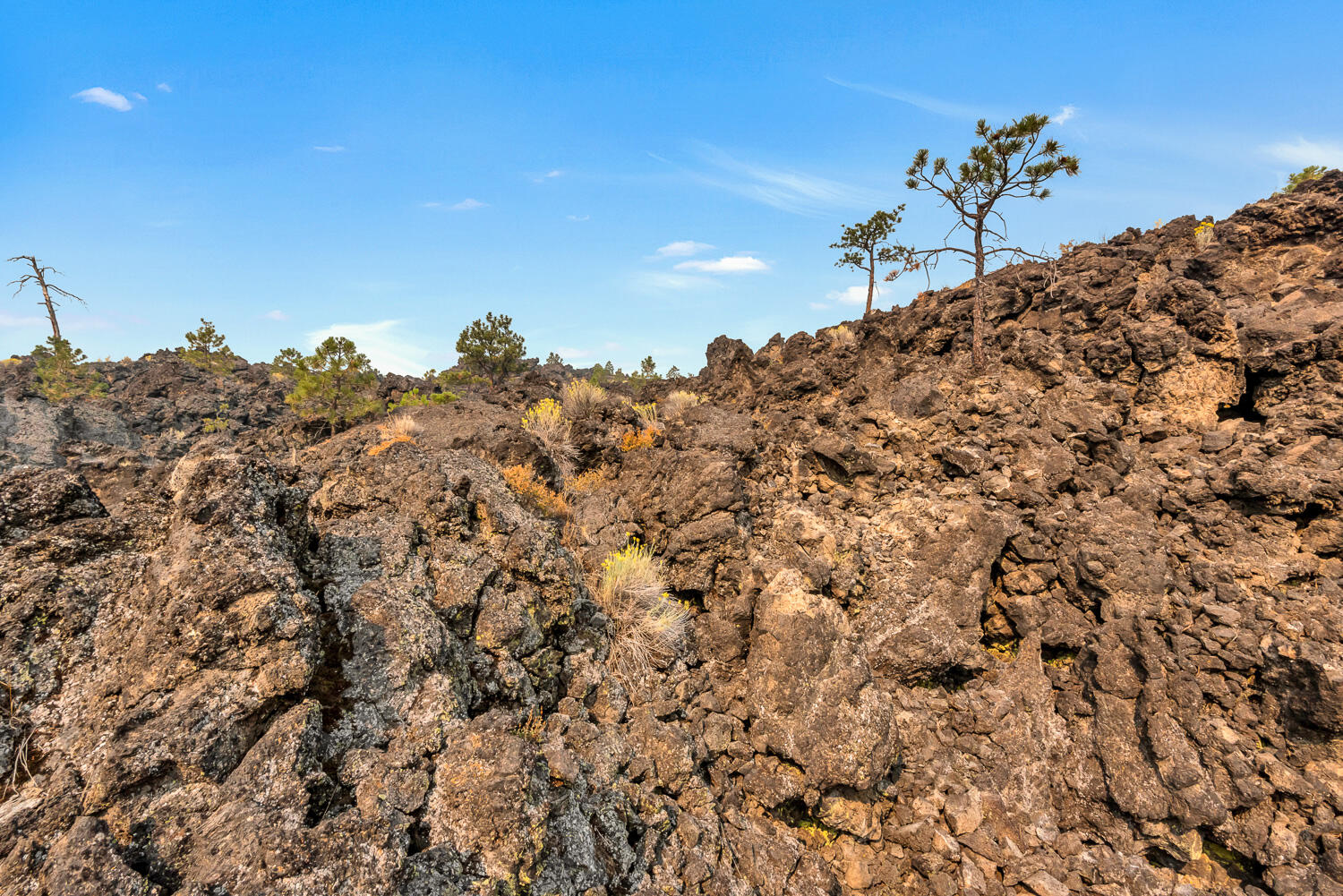 Deschutes RiverWoods - Residential