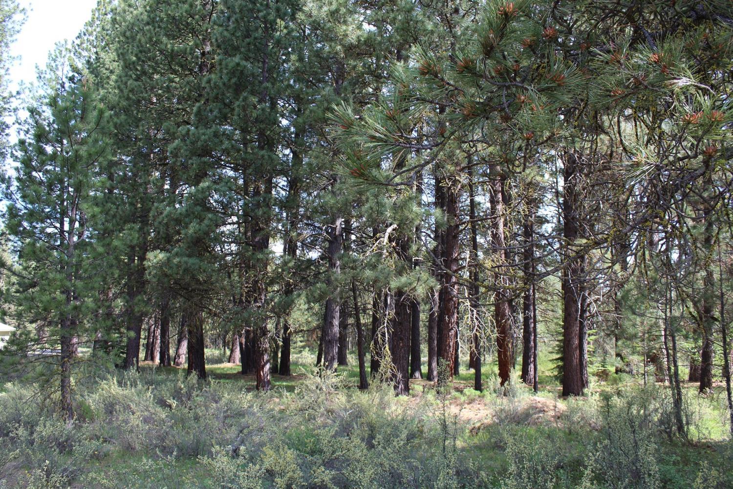 Mountain Lakes Homesites - Land