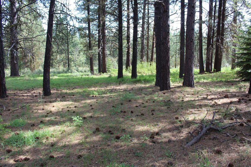 1.28 acre partially wooded Lot in the Mountain Lakes Development. Near Rocky Point & almost midway between Medford to the West & Klamath Falls to the East. Lake of the Woods is close by for Water recreation, Dining & Summer events! This Lot is a stones throw to National Forest Public Land for Hiking, Horse Trails, & Lake Fishing. Rocky Point provides access to Klamath Lake. This lot is in an area of Good Wells. Seller has septic approval for Building your Dream Home or Cabin in the Woods!