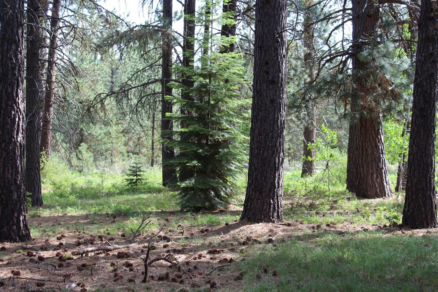 Mountain Lakes Homesites - Land