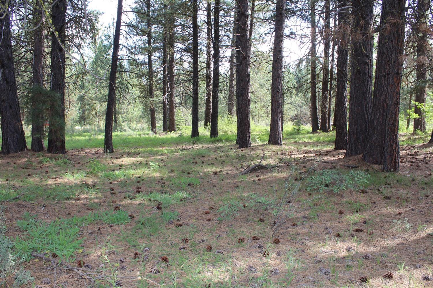 Mountain Lakes Homesites - Land