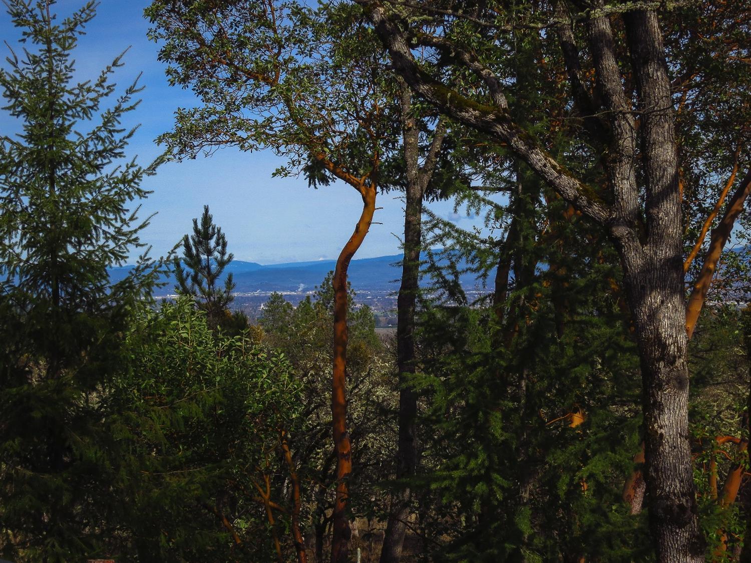 Timber Ridge - Land