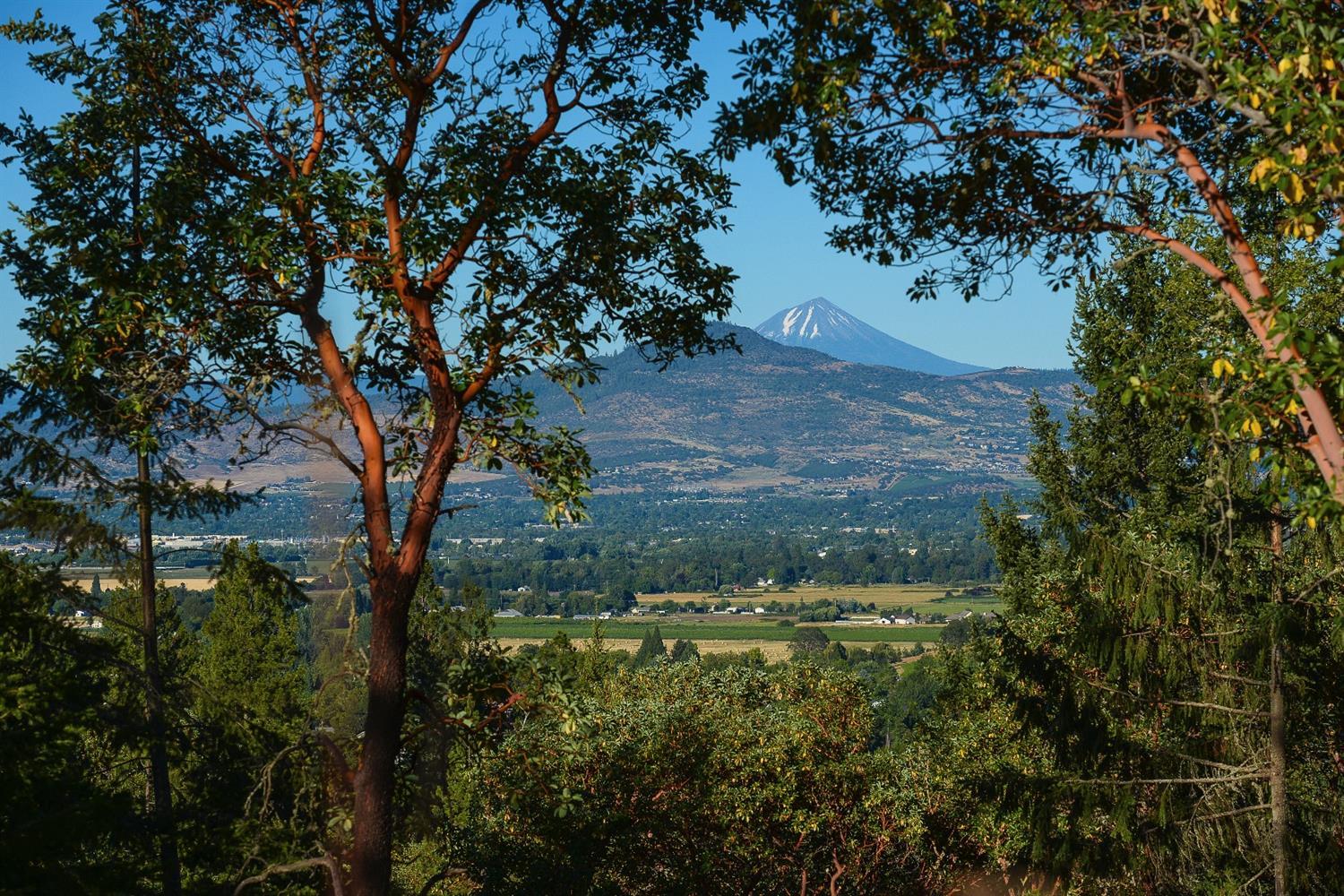 Timber Ridge - Land