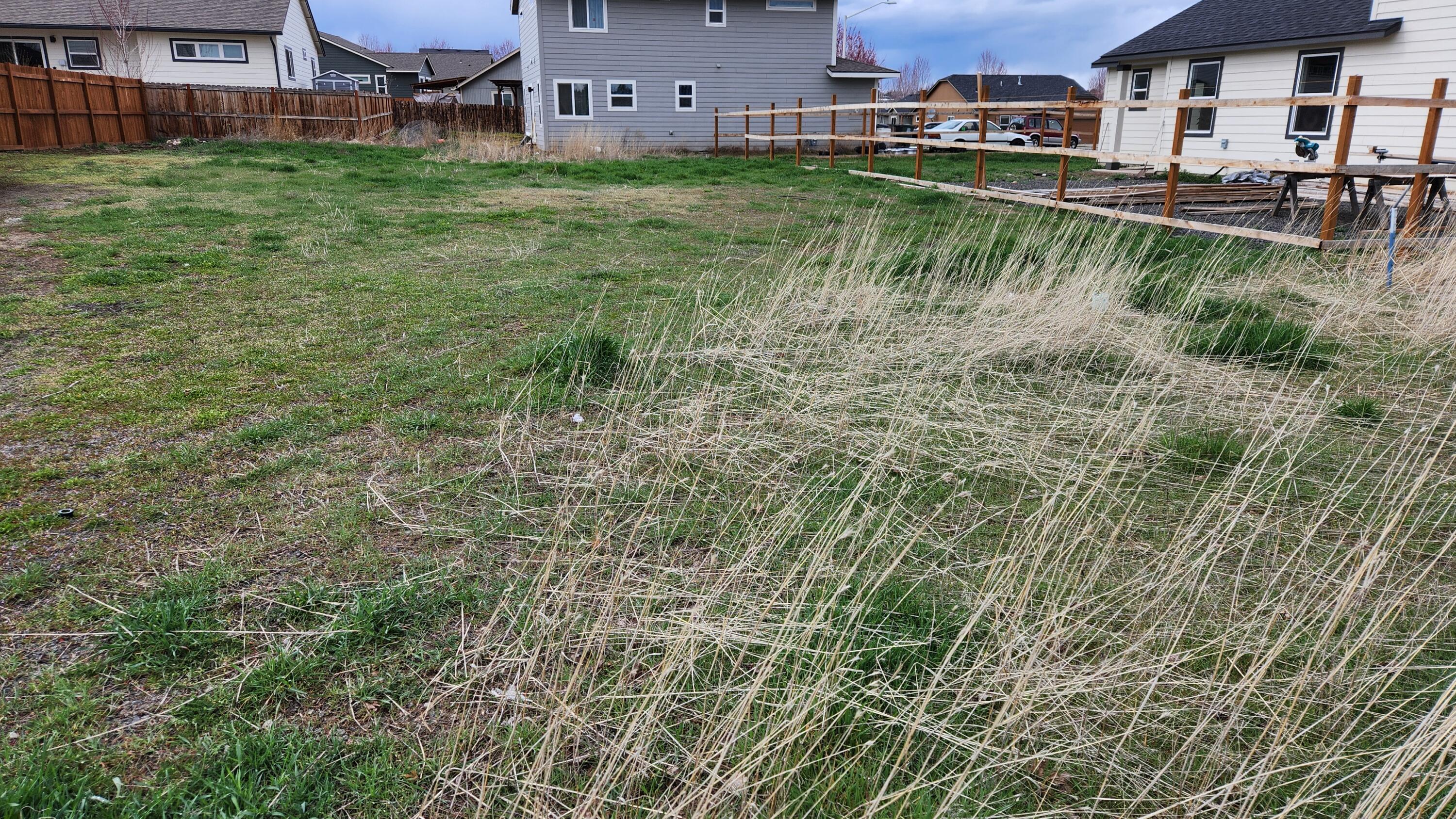 Morning Crest - Land