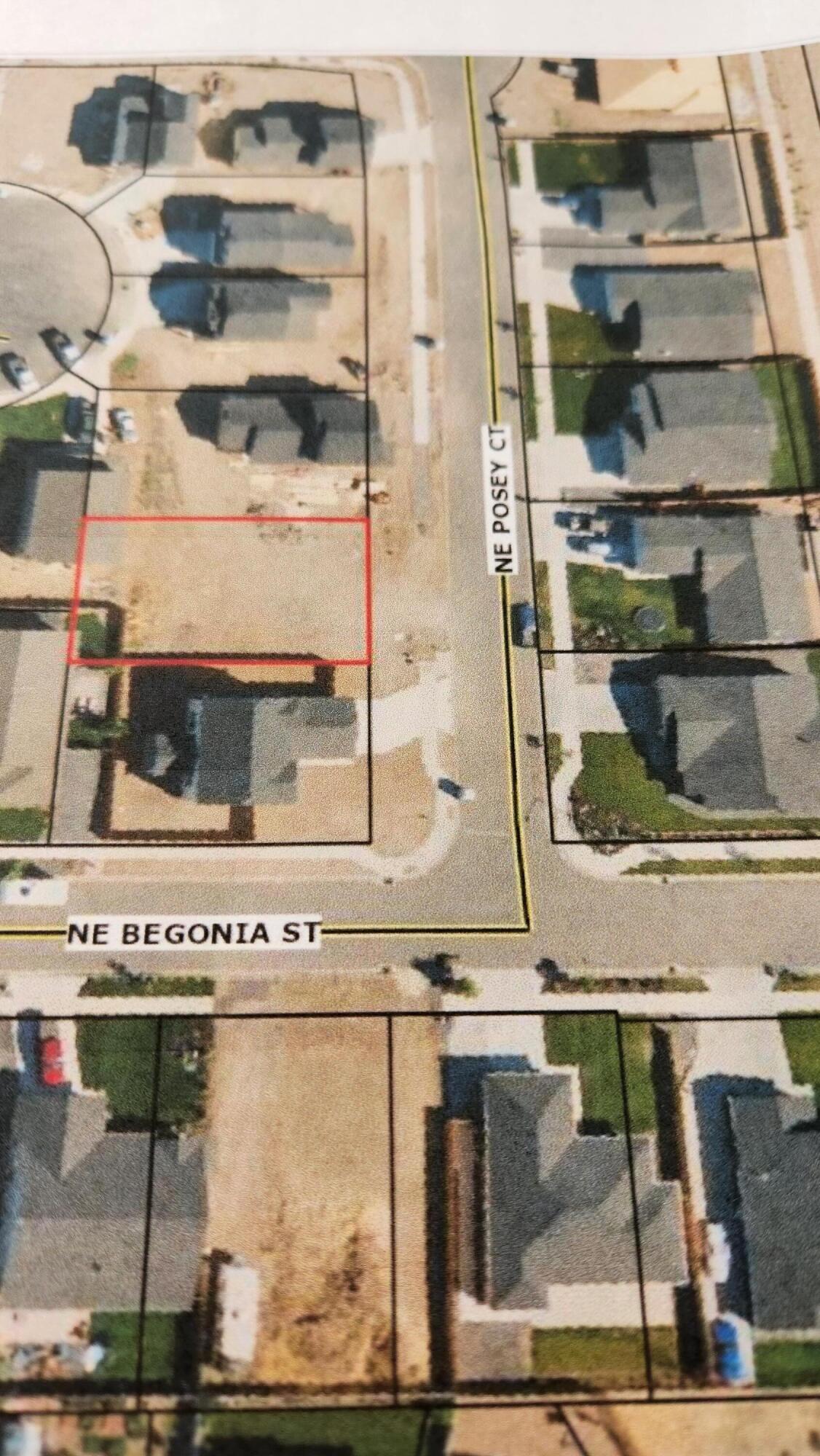 Morning Crest - Land