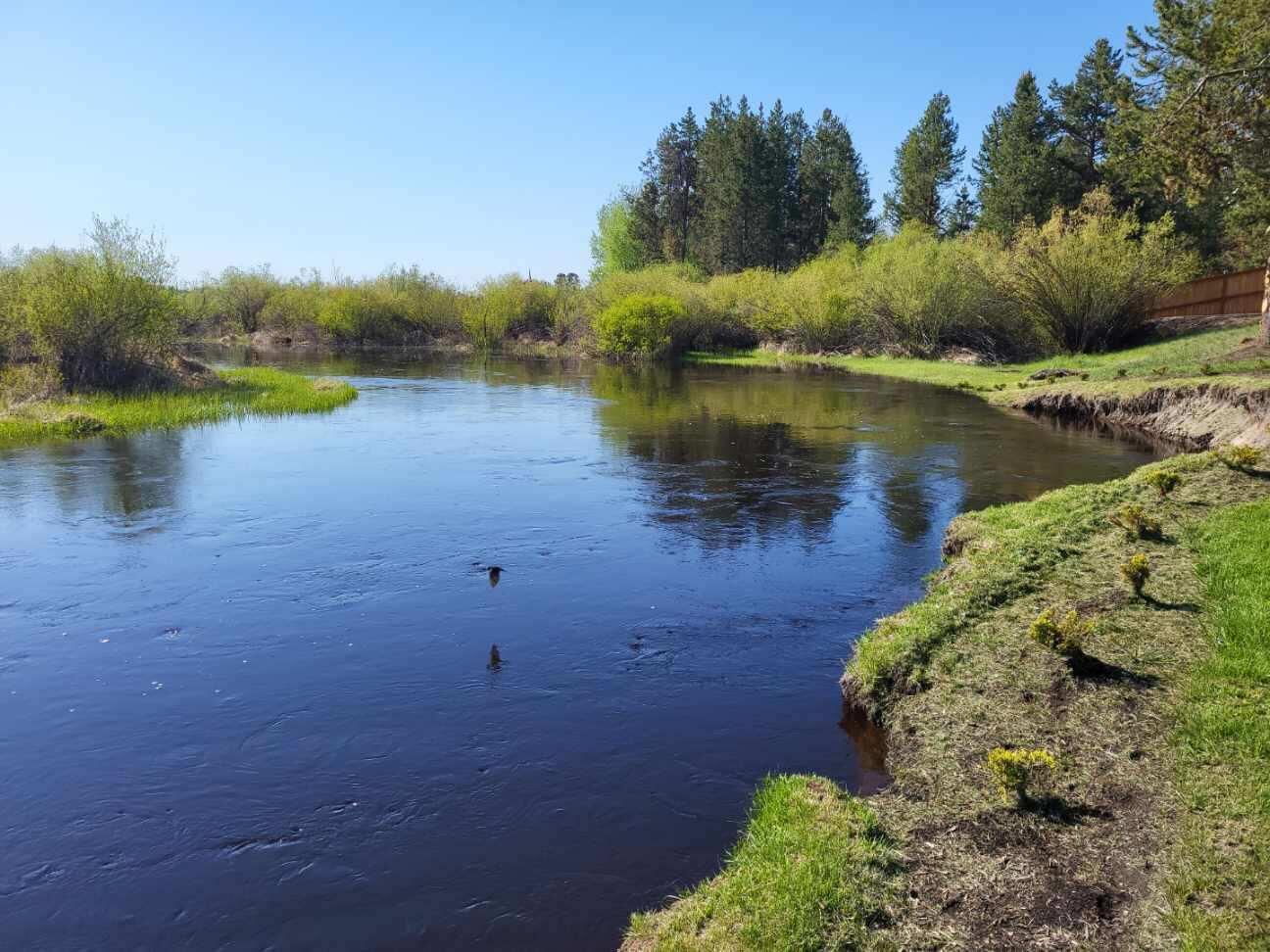 Lazy River - Residential