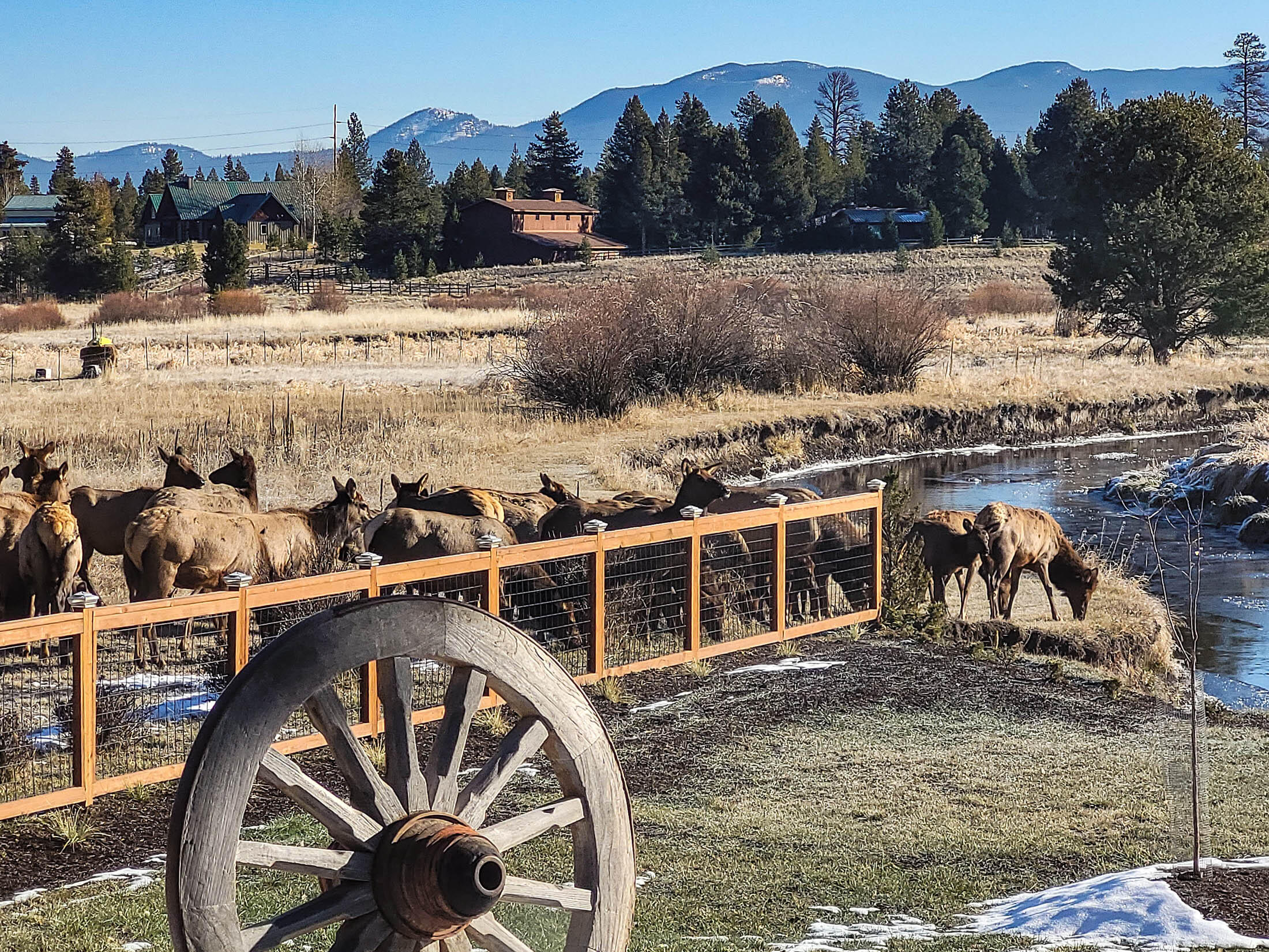 Lazy River - Residential
