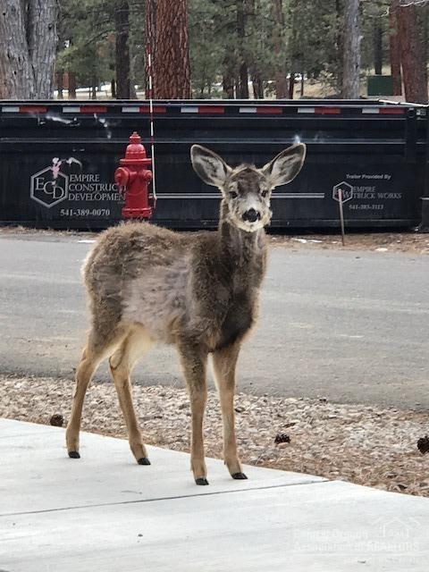 Highland Village - Residential