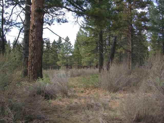 Sprague River - Land