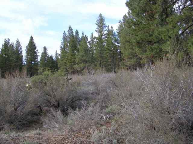 Sprague River - Land