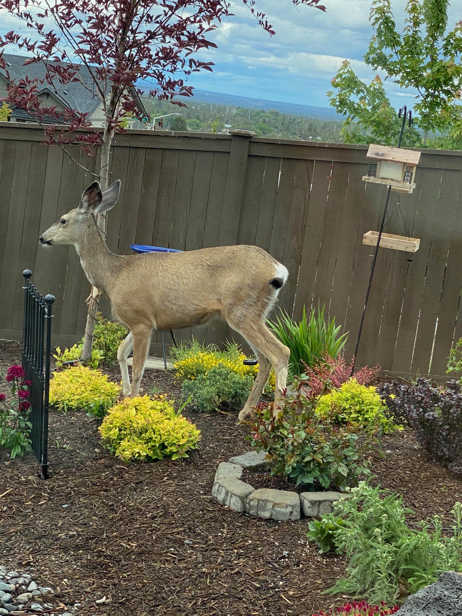 Makena View Estates - Residential