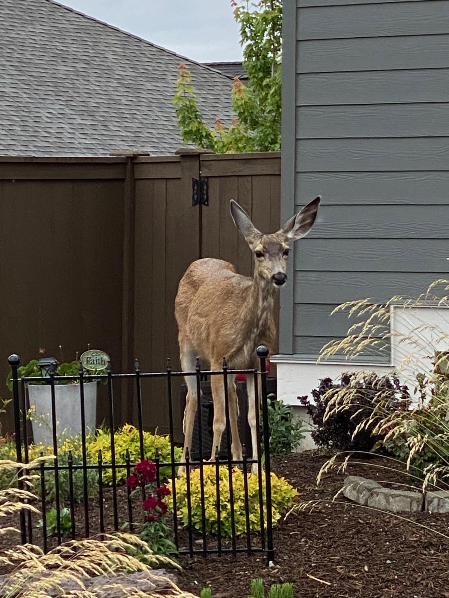 Makena View Estates - Residential