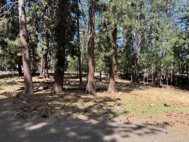 18627 River Woods Drive