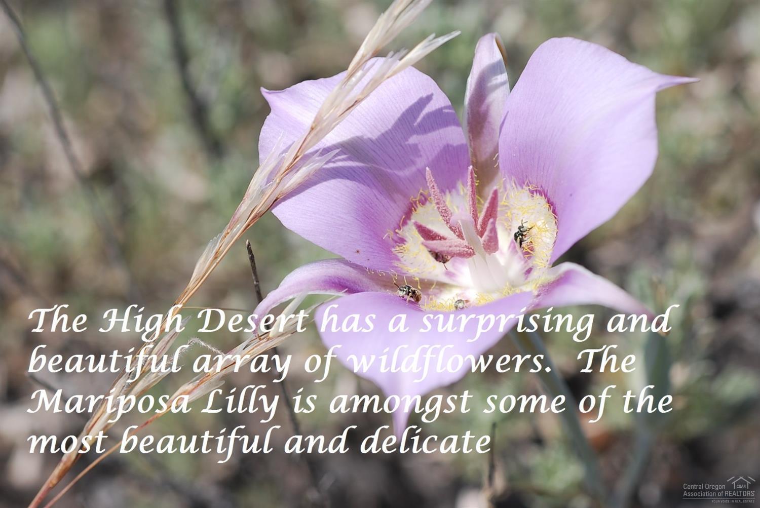 Crooked River Ranch - Residential