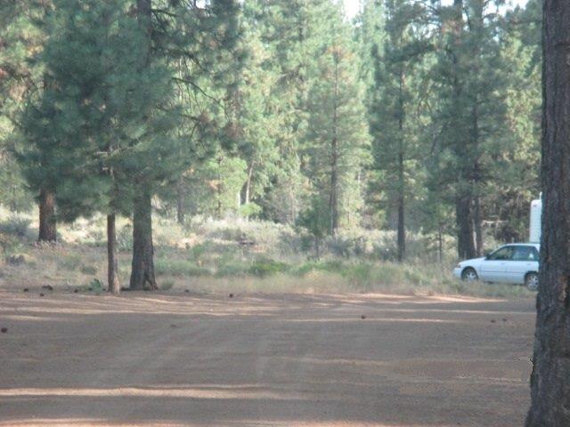 Bonanza - Residential