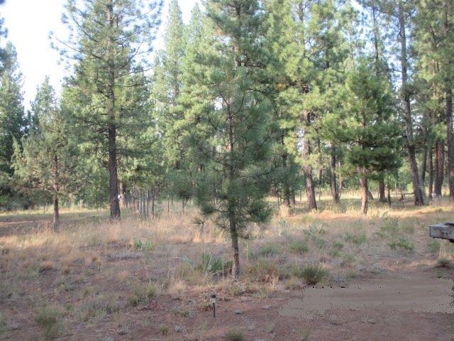 Bonanza - Residential