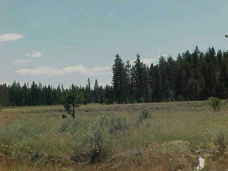 L-324 Almost 12 Acres With Pines. Very Remote, Seasonal Access. Call Lo For More Details. 4 Wheel Drive Required.