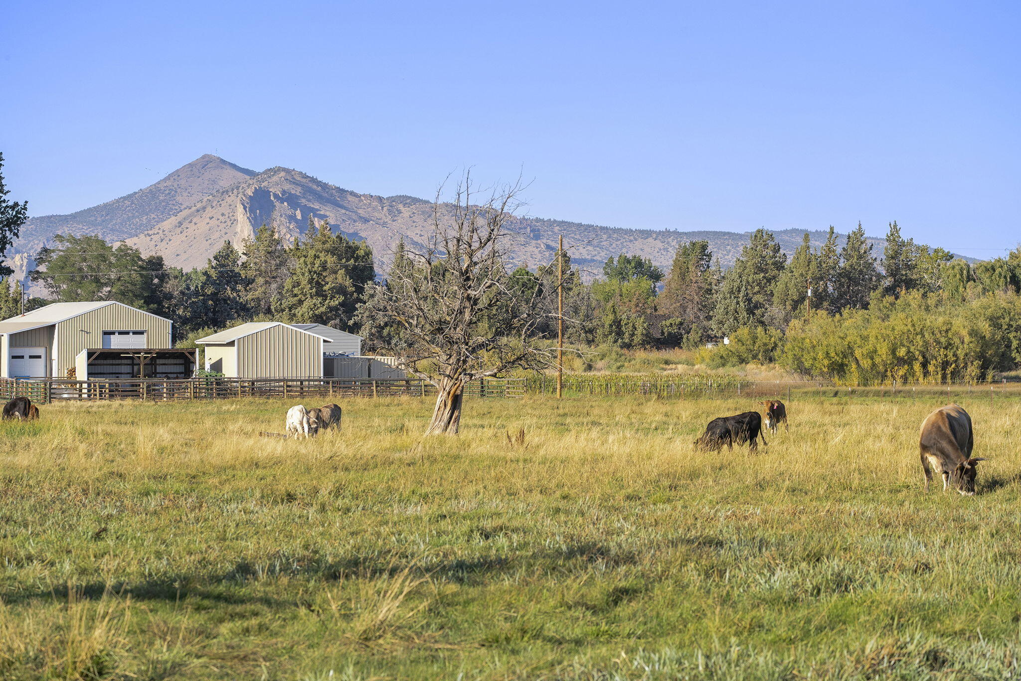 Diamond Bar Ranch - Residential