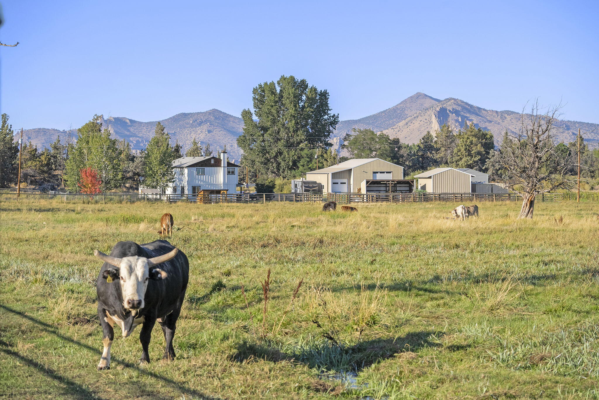 Diamond Bar Ranch - Residential