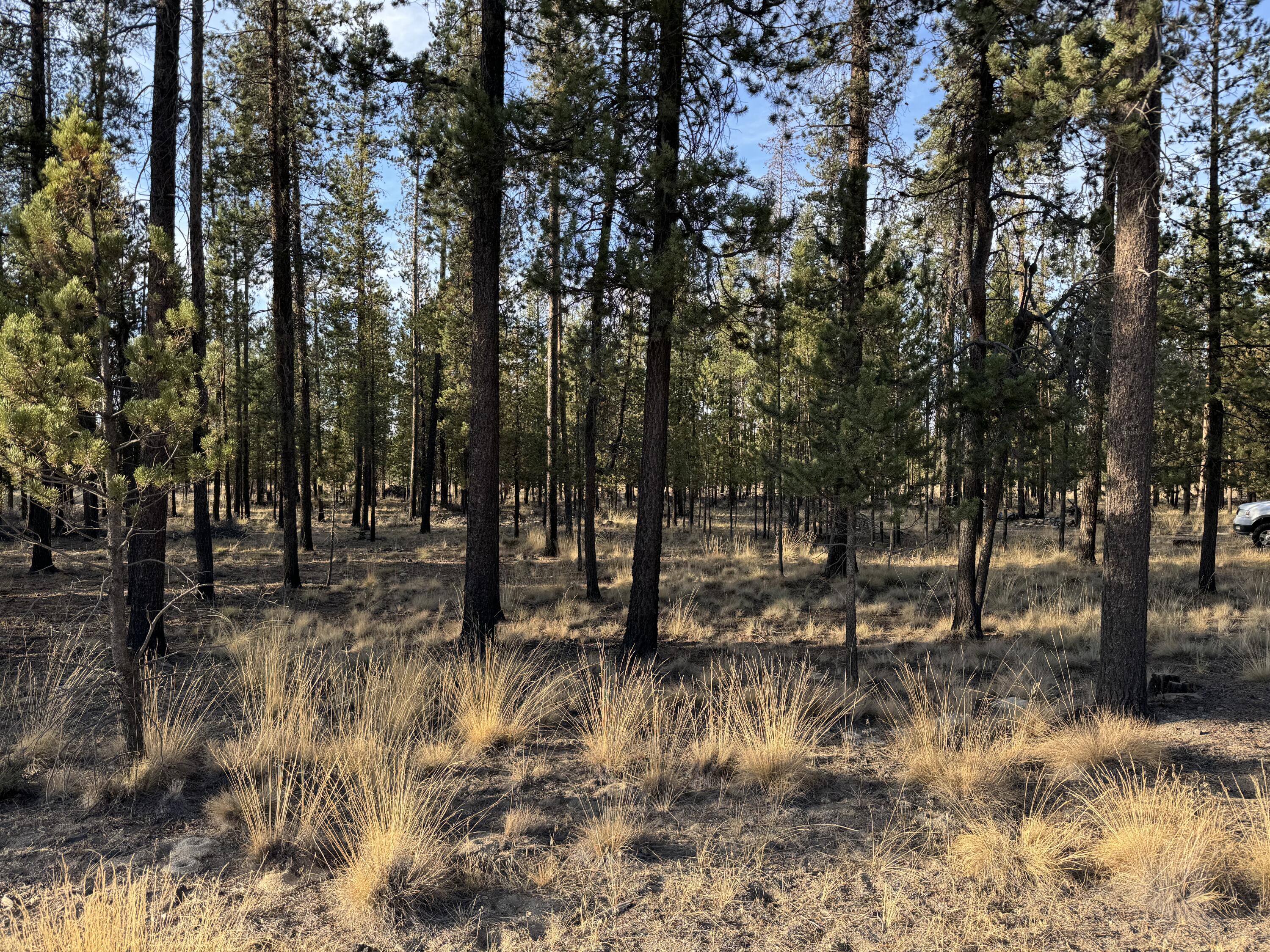 Sun Forest Estates - Land
