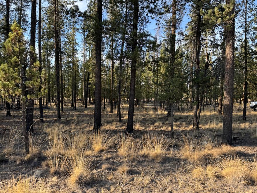 Build your home on a spacious 1.03-acre lot located in the serene Sun Forest Estates neighborhood. This meticulously-maintained property boasts lush, mature trees that provide a beautiful canopy for your future home. The clean surroundings and ample space offer the ideal setting to create the home of your dreams.