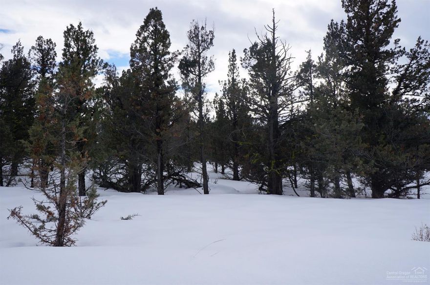 Large corner lot in Prineville Lake Acres. Just over 3 acres with power at the property line. Nice treed parcel not far from Prineville Resevoir. Perfect for building your own dream home or use as recreational property.