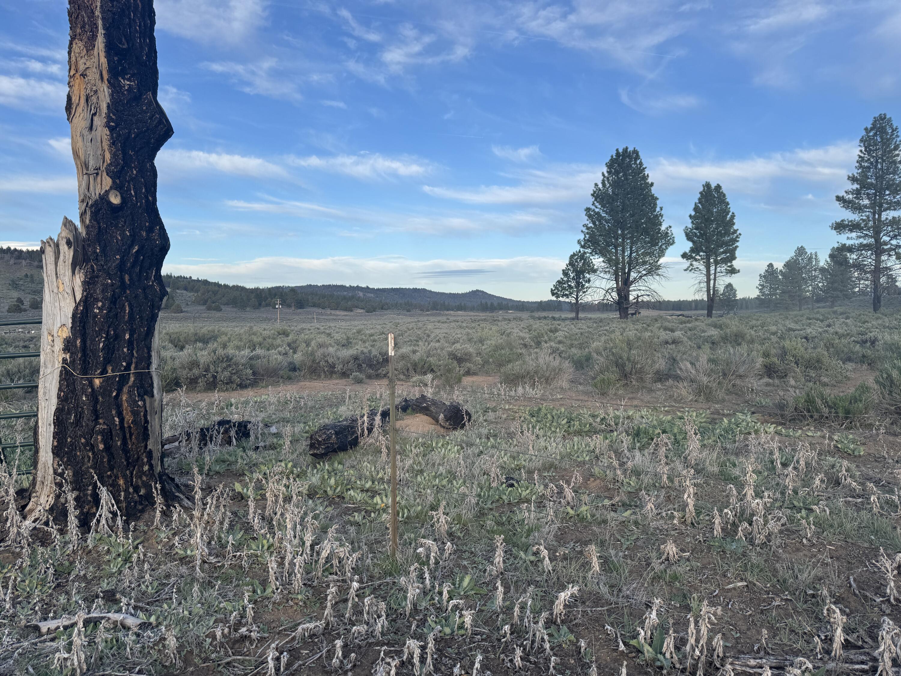Mule Deer Drive Lot 1