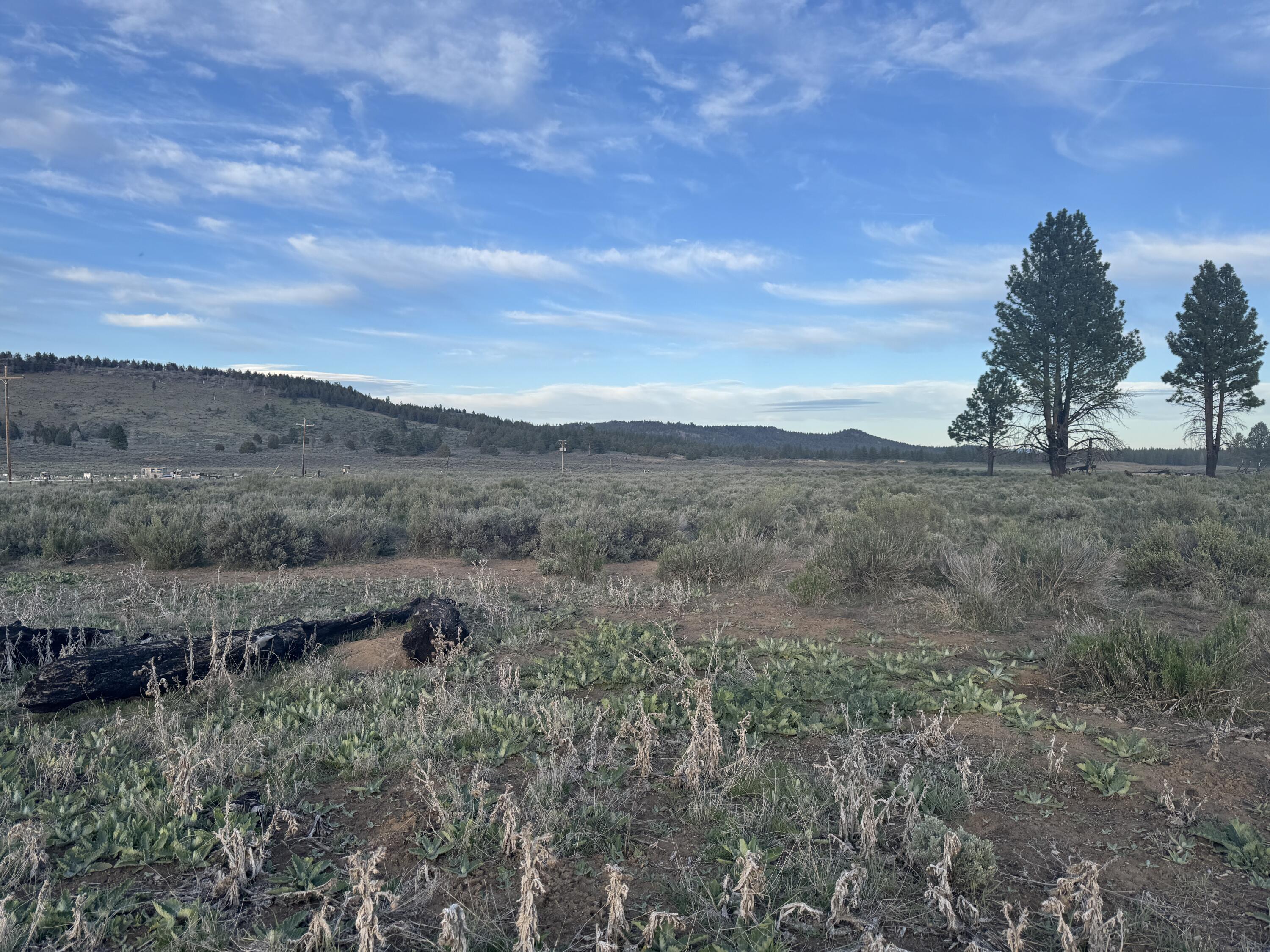 Mule Deer Drive Lot 1