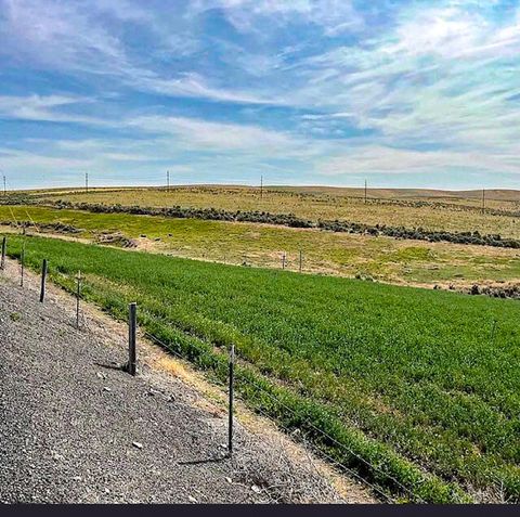 Tiny photo for 260 N E Street, Lexington, OR 97839 (MLS # 220215548)