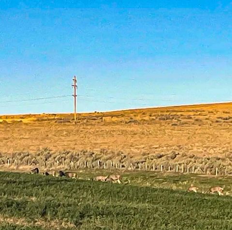 Tiny photo for 260 N E Street, Lexington, OR 97839 (MLS # 220215548)