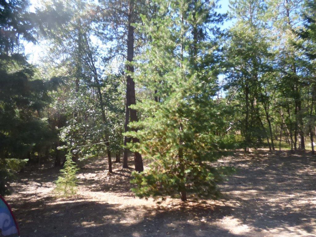 Diamond Point Villages, Inc. - Residential