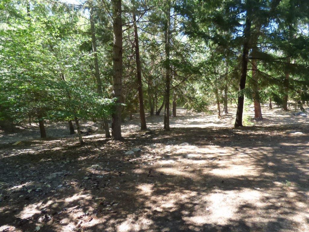 Diamond Point Villages, Inc. - Residential