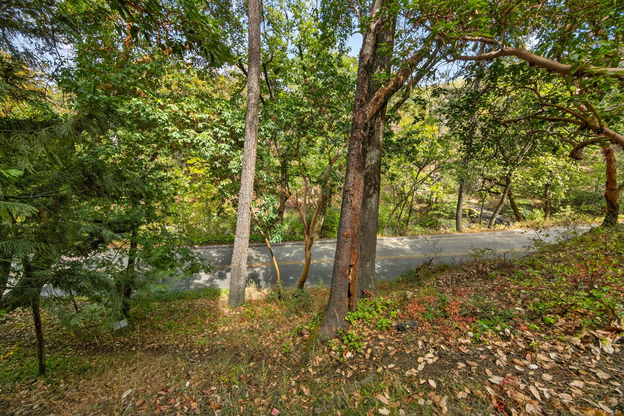 Lithia Creek Estates, AReplat Of Lithia Park Village - Residential