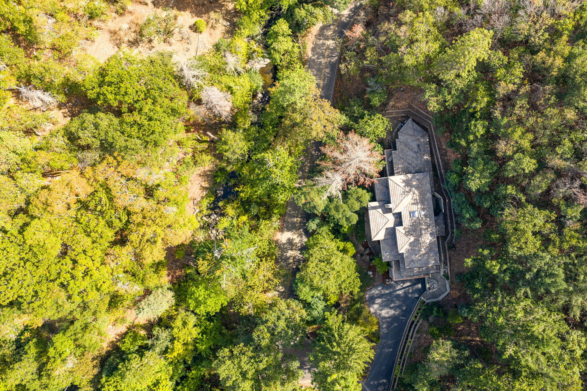 Lithia Creek Estates, AReplat Of Lithia Park Village - Residential