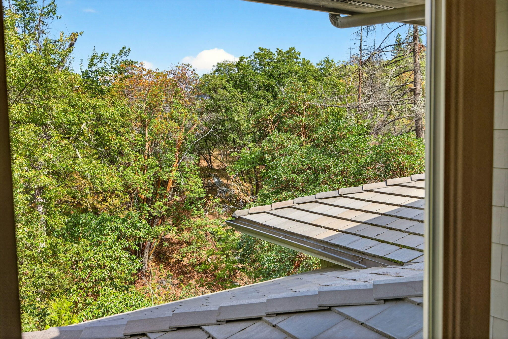 Lithia Creek Estates, AReplat Of Lithia Park Village - Residential