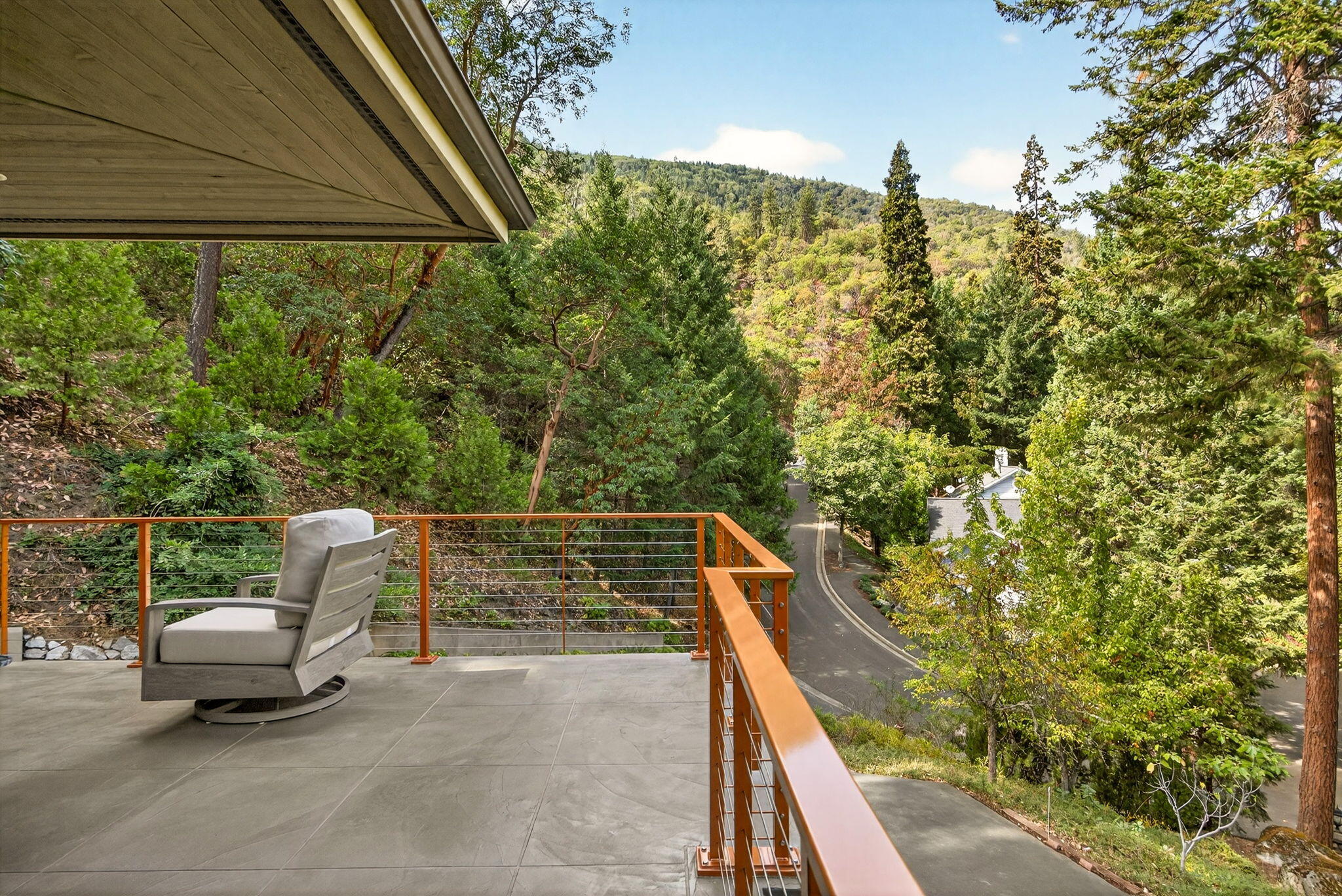 Lithia Creek Estates, AReplat Of Lithia Park Village - Residential