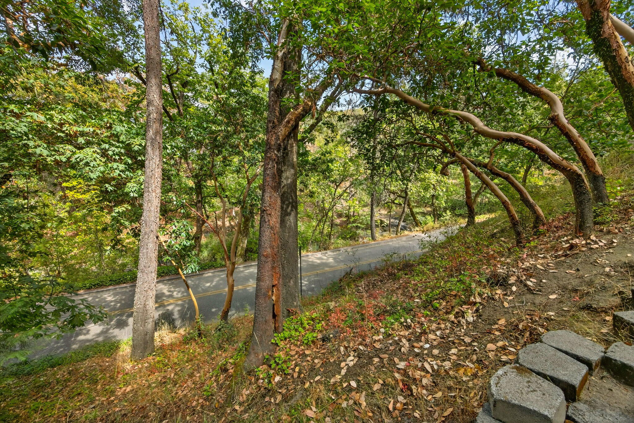 Lithia Creek Estates, AReplat Of Lithia Park Village - Residential