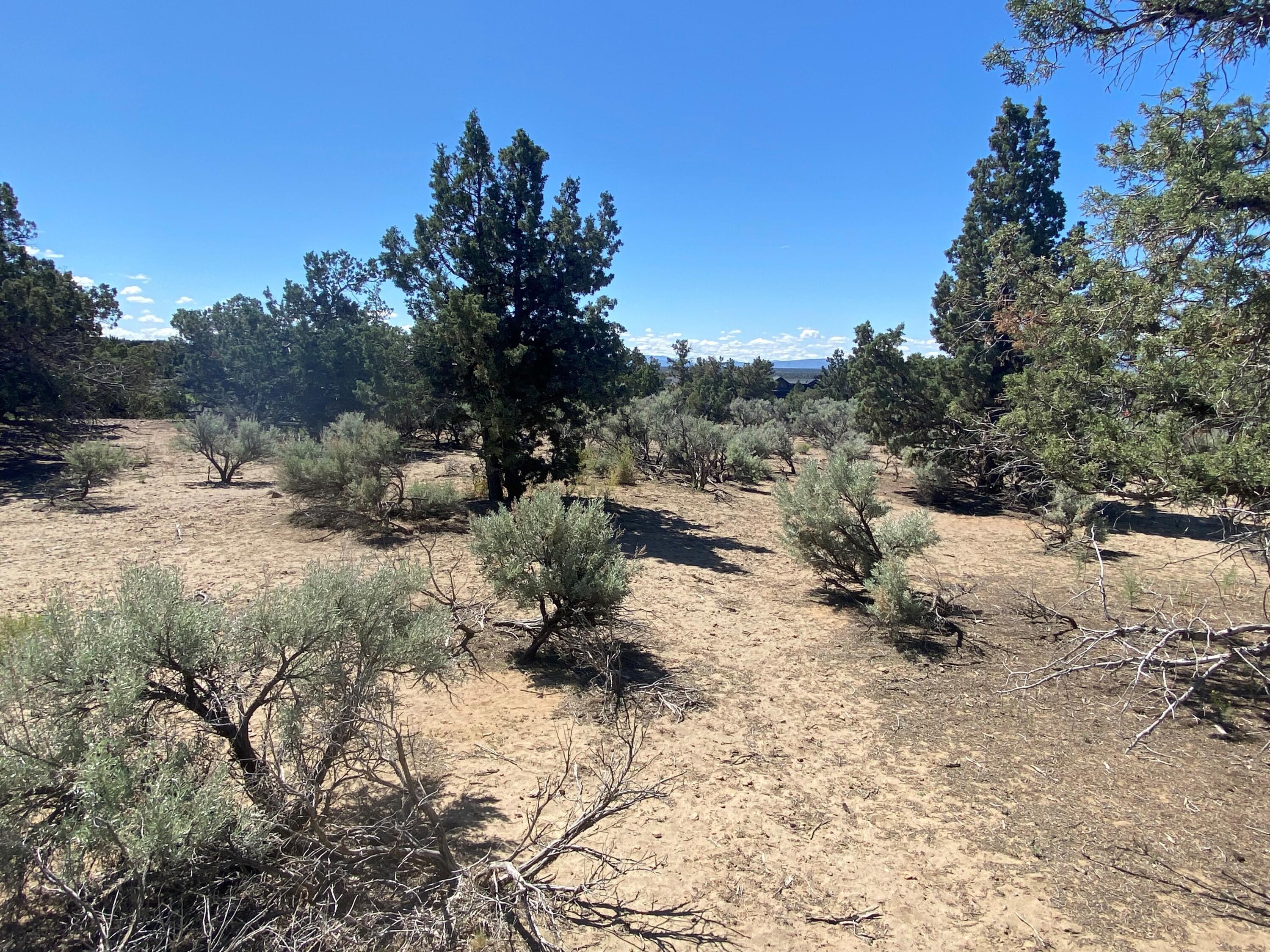 Brasada Ranch Road Homesite 640