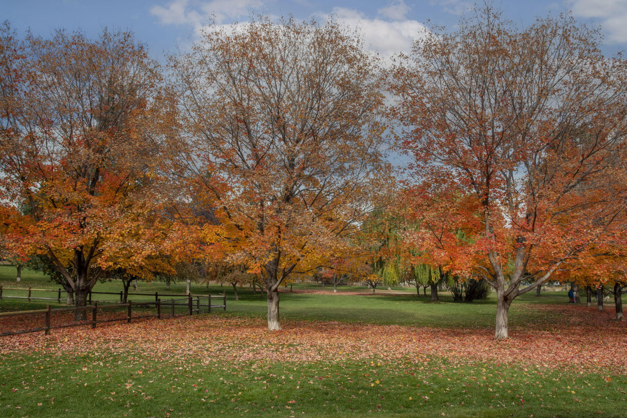 Monarch Estate - Residential
