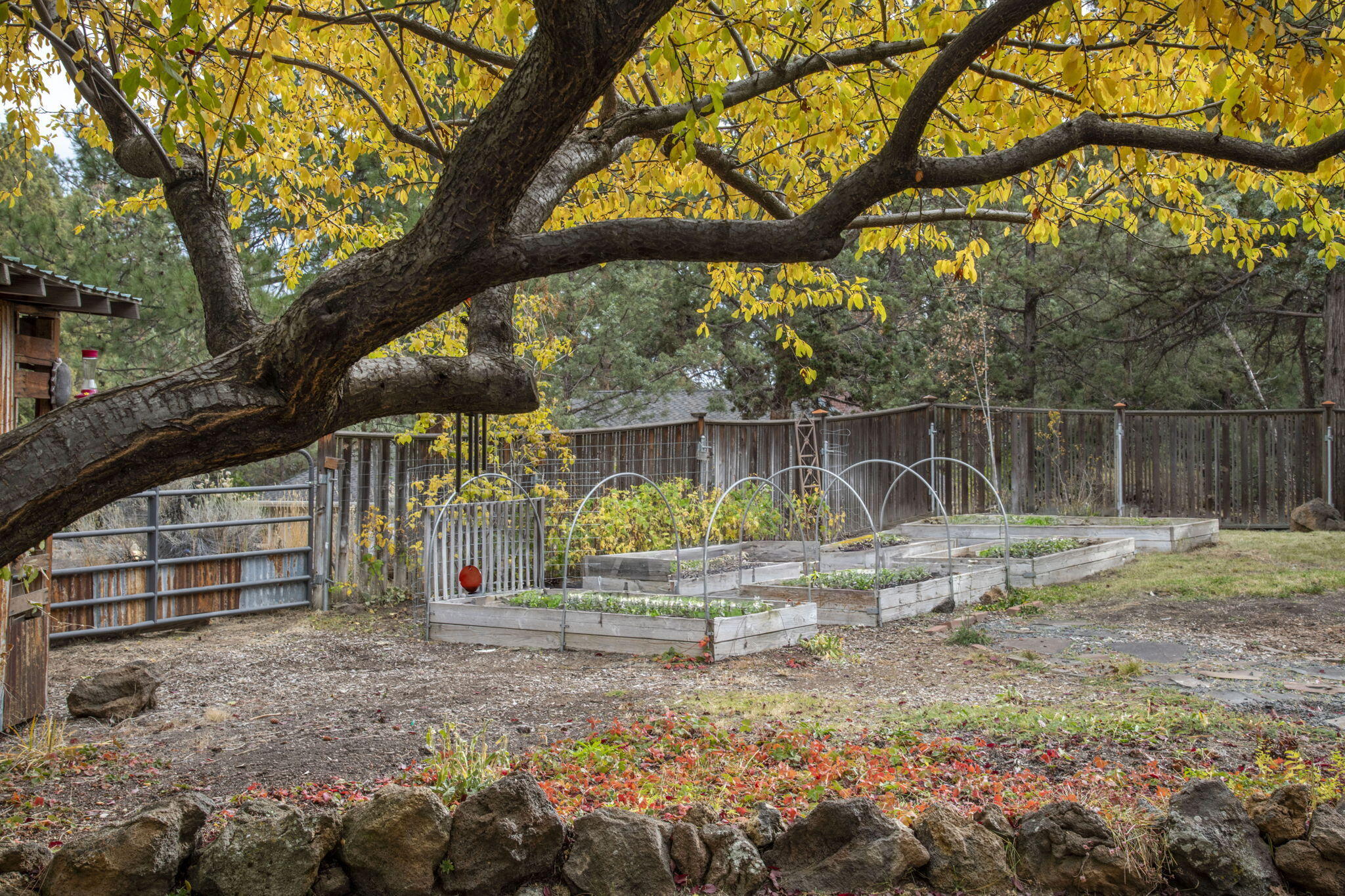 Monarch Estate - Residential