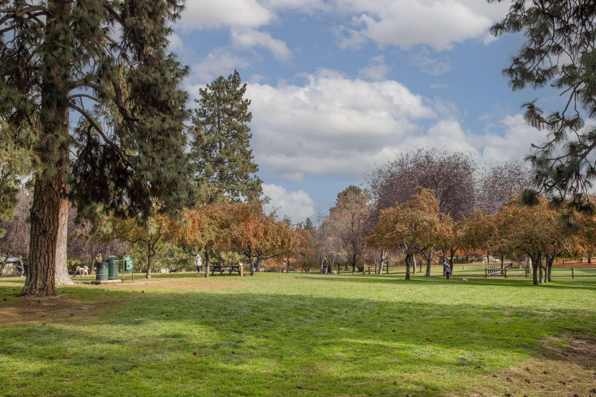 Monarch Estate - Residential