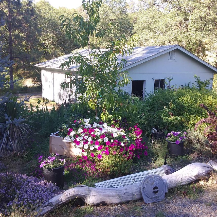 Warm country home on 8 gorgeous acres featuring a nice variety of towering pines, oaks & madrones plus areas of open space, sunshine & a seasonal creek! Welcoming front porch invites you in to this comfortable 1512sf home featuring a spacious living room w/ vaulted ceilings, a toasty woodstove & large picture windows that overlook this beautiful property. Functional kitchen w/ gas stove, lots of cabinet space & a cozy breakfast nook that overlooks the garden. The 3 bed, 2 bath split floorplan includes a large master bedroom w/ walk-in closet, & a private ensuite bath plus 2 additional bedrooms, bathroom & laundry room/pantry that complete the home. Outside is a gardeners paradise highlighted by numerous fruit trees, garden boxes, sunny meadows & peaceful areas to just sit & soak it all in! Additional features include a detached 2 car garage/shop, carport, space to park an RV, sprinklers/drip systems, new roof & more! All conveniently located just minutes from town so call today!