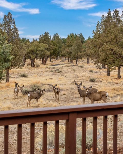 Tiny photo for 10064 Juniper Glen Circle, Redmond, OR 97756 (MLS # 220212456)