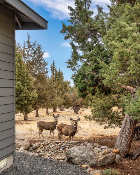 Tiny photo for 10064 Juniper Glen Circle, Redmond, OR 97756 (MLS # 220212456)