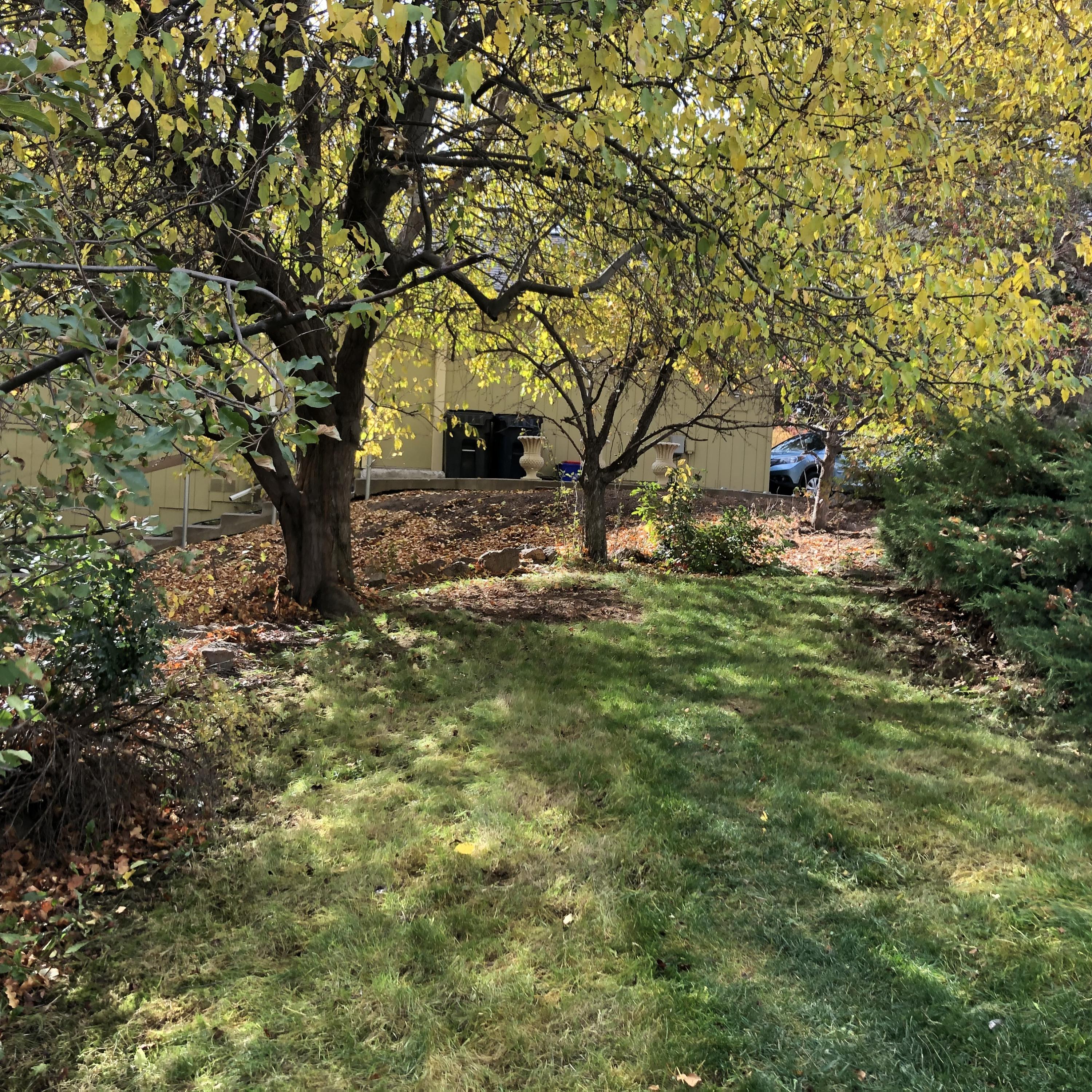 Tanglewood - Residential