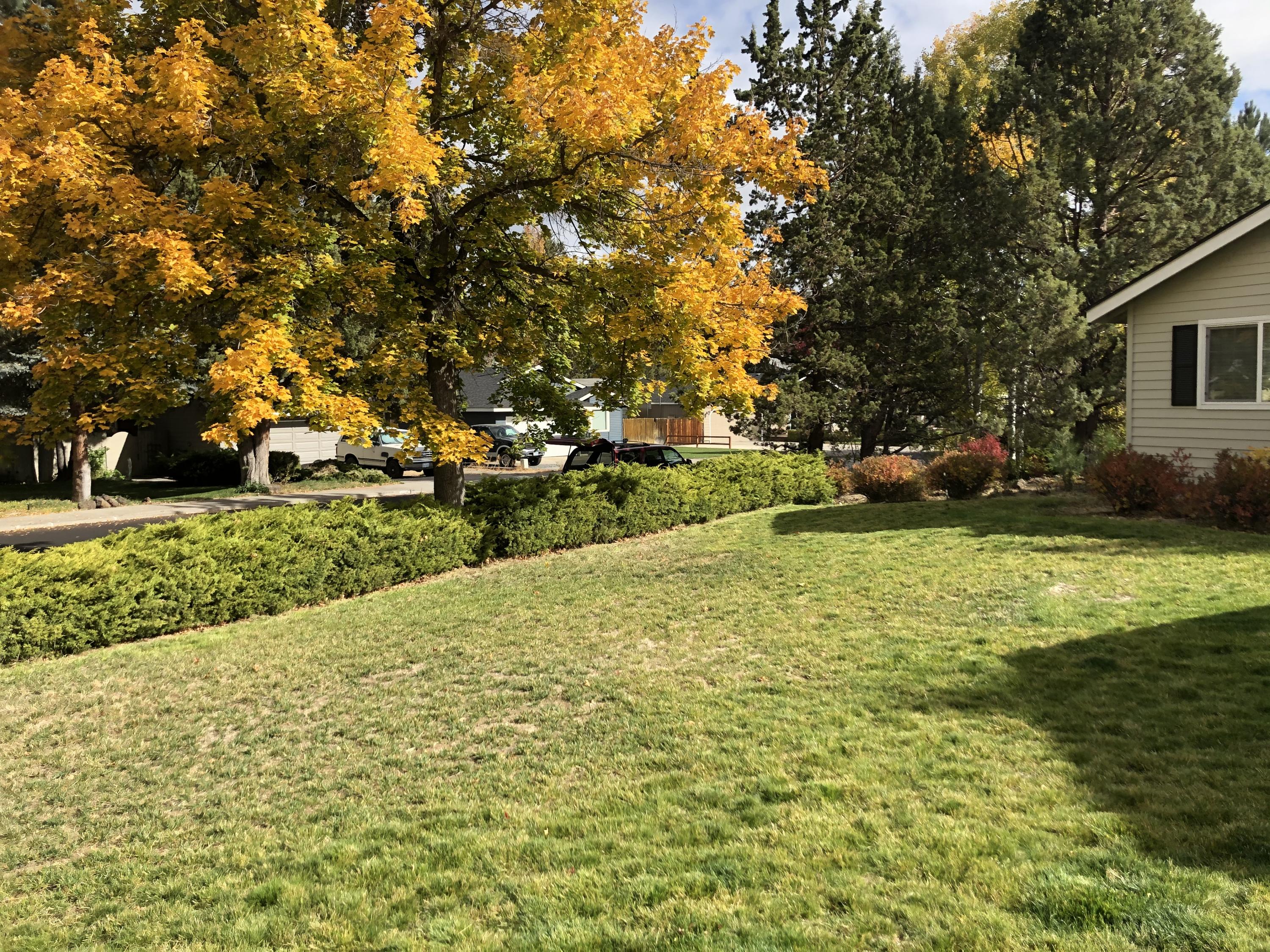 Tanglewood - Residential