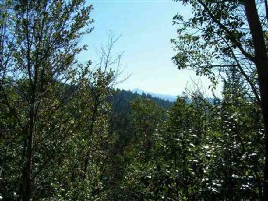 View Property, Well Is In, Power Is On Property, Std Septic Approval. Southern Exposure, Only Minutes From Smith River Recreational Area. Lots Of Potential For Your Dream Home Or Mobile. Could Be Solar Site. Spectacular Views From Upper Property.
