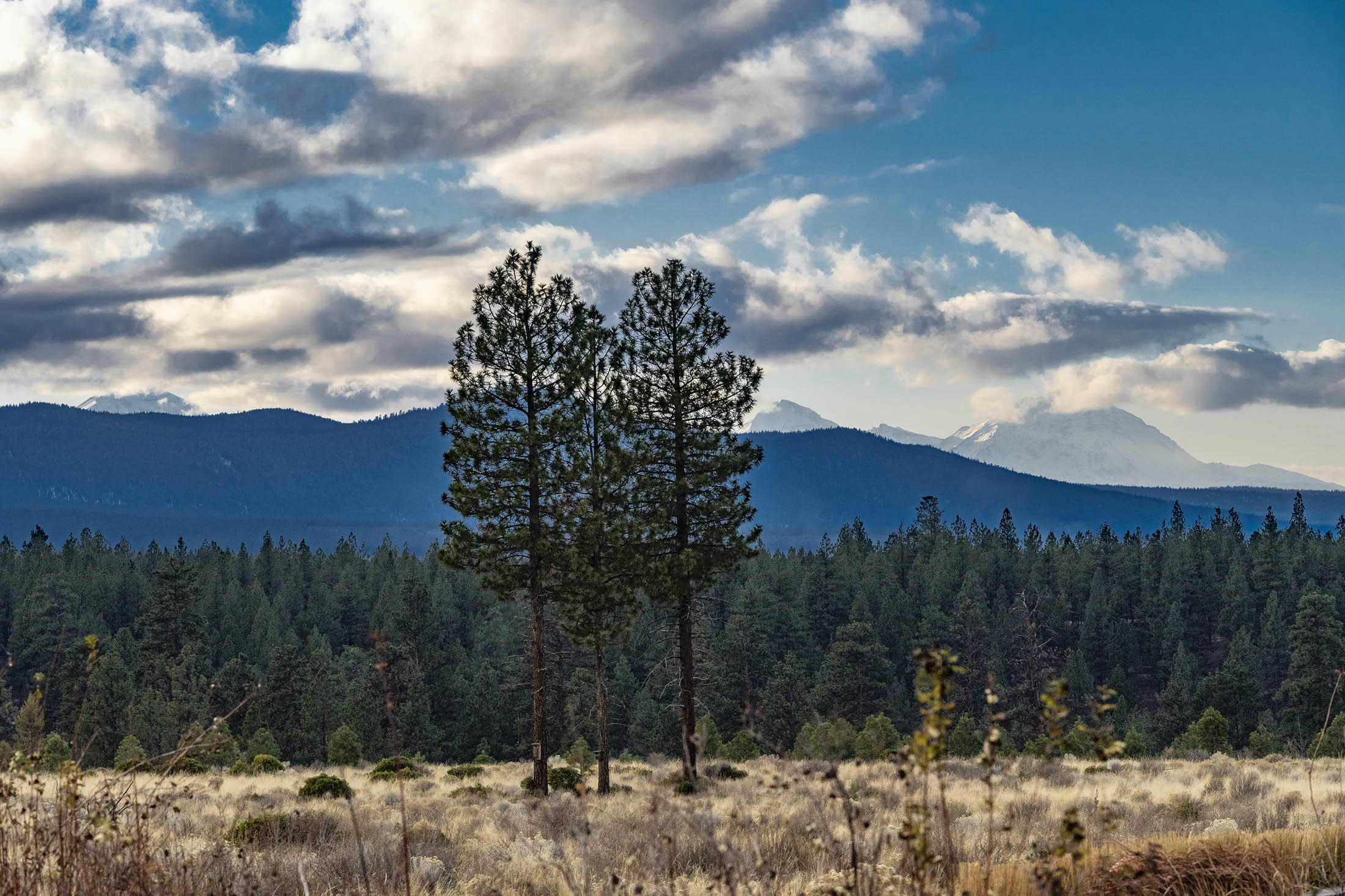Shevlin Commons - Residential