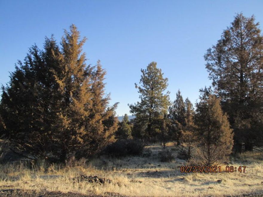 This subdivision is away from town but is has paved streets, power, water and sewer available, only site-built homes are permitted.  So close to wilderness areas, hunting and fishing and about one mile to the town off Bly.